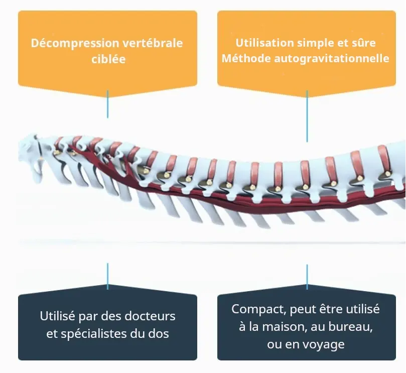 Avantages du cordus pour les pathologie et douleurs du dos